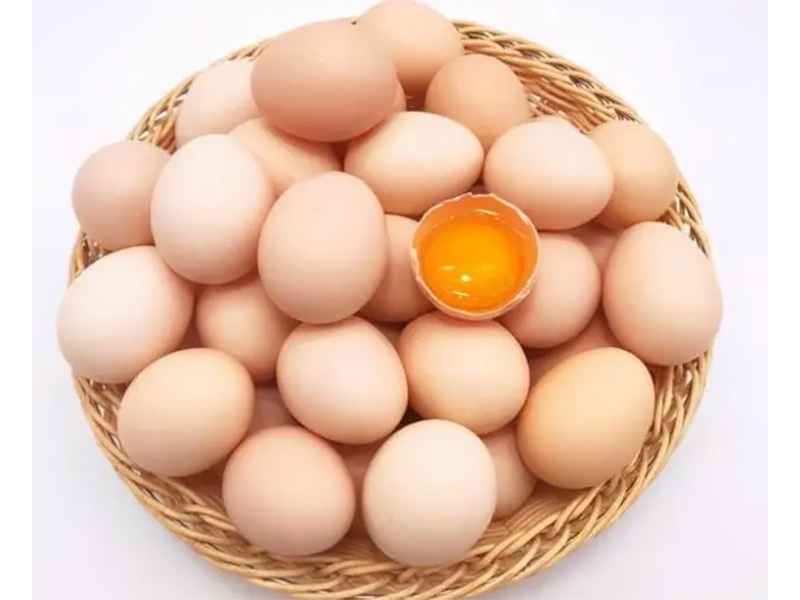 鸡蛋